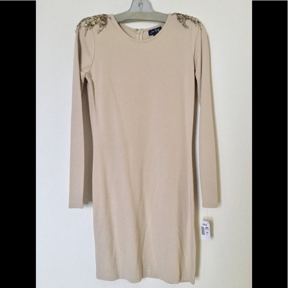 NWT Fitted Long Sleeve Dress with Sequin Shoulders